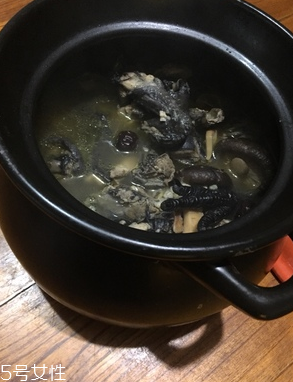 烏雞是公雞好還是母雞好？烏雞買公雞還是母雞？