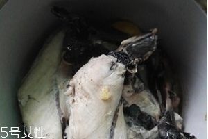 烏雞是熱性還是涼性？烏雞偏熱還是偏涼？