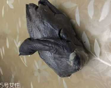 烏雞是熱性還是涼性？烏雞偏熱還是偏涼？