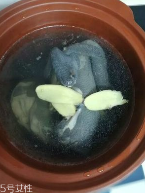 烏雞是熱性還是涼性？烏雞偏熱還是偏涼？