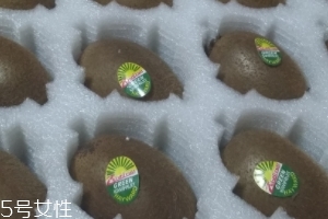 綠心獼猴桃硬的能吃嗎？硬的綠心獼猴桃能吃嗎？