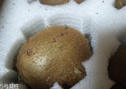 綠心獼猴桃硬的能吃嗎？硬的綠心獼猴桃能吃嗎？