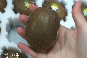 綠心獼猴桃怎么催熟？綠心獼猴桃的催熟方法