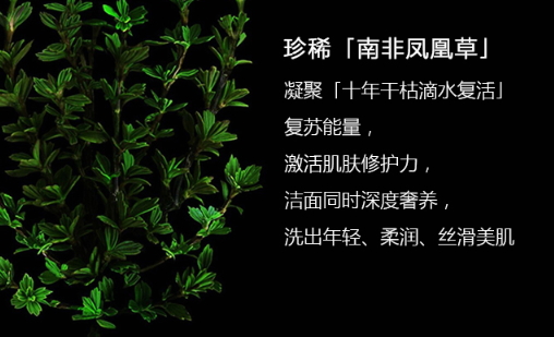 阿瑪尼洗面奶怎么樣？阿瑪尼洗面奶評測