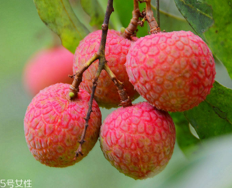 荔枝是涼性還是熱性？月經(jīng)來了能吃荔枝嗎