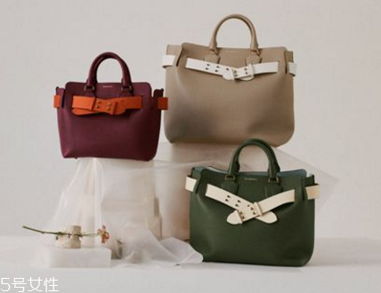 burberry the belt bag多少錢？巴寶莉貝爾特包專柜價格