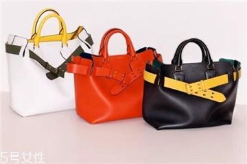 burberry the belt bag多少錢？巴寶莉貝爾特包專柜價格
