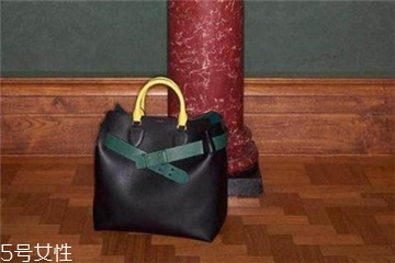burberry the belt是什么皮？巴寶莉貝爾特包材質(zhì)