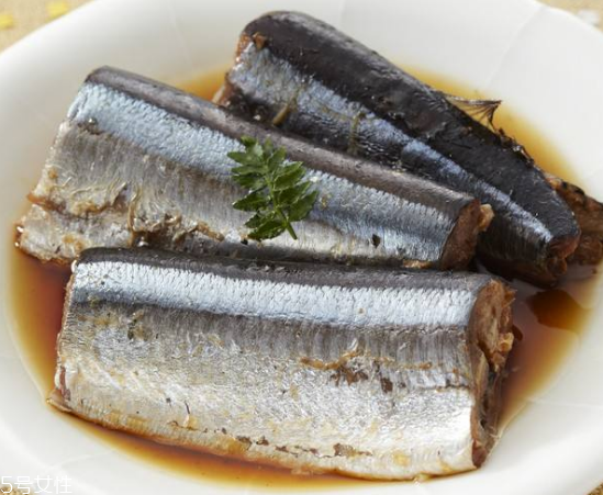 青魚怎么釣？青魚可以用什么餌料？