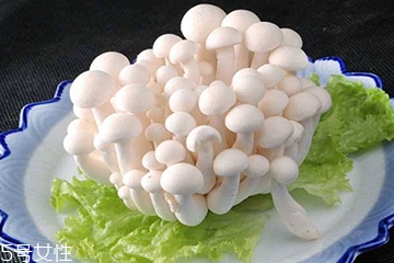 白玉菇和海鮮菇的區(qū)別 白玉菇和海鮮菇是一樣的嗎？