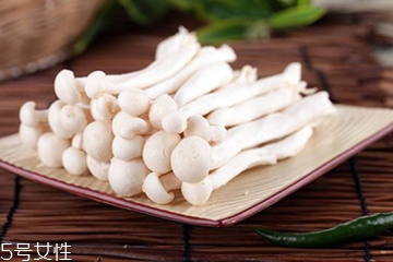 白玉菇的營養(yǎng)價(jià)值 白玉菇有什么營養(yǎng)？