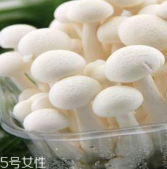 白玉菇的營養(yǎng)價(jià)值 白玉菇有什么營養(yǎng)？