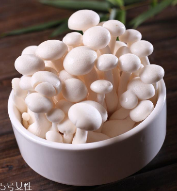白玉菇為什么是苦的？白玉菇怎么會苦？