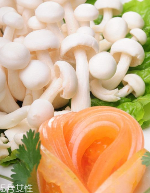白玉菇和金針菇的區(qū)別 白玉菇是金針菇嗎？