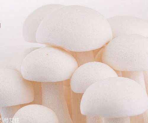 白玉菇的吃法 白玉菇能燉雞嗎？