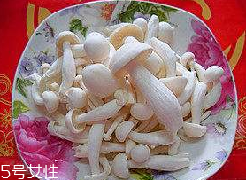 白玉菇能和西紅柿一起吃嗎？白玉菇能和番茄一起吃嗎？