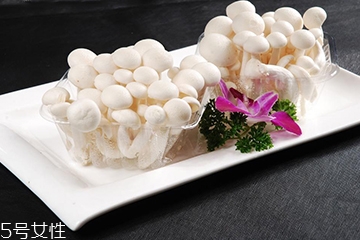 白玉菇長(zhǎng)白毛是怎么回事？白玉菇長(zhǎng)白毛還能吃嗎？