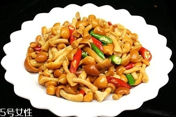 滑子菇是什么？滑子菇能吃嗎？