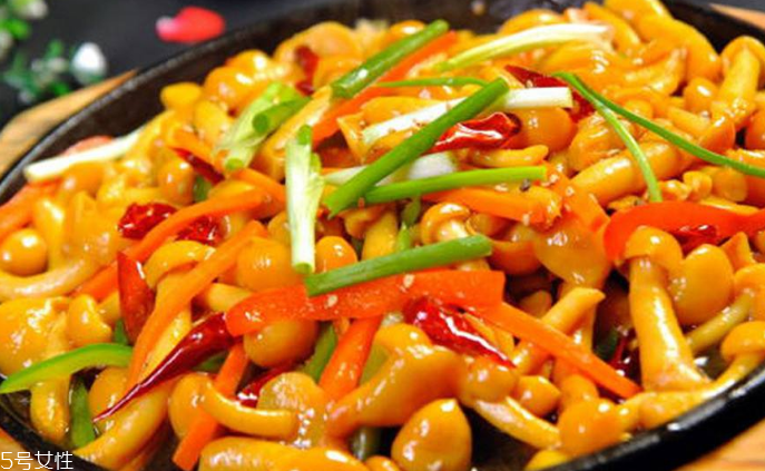 滑子菇野生和滑子菇養(yǎng)殖的區(qū)別 野生滑子菇的好嗎？