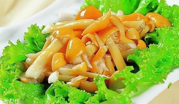 滑子菇的禁忌人群 哪些人不能吃滑子菇？