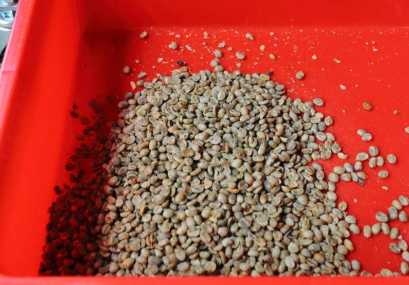 咖啡豆新豆、舊豆、老豆各有什么特色