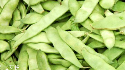 蕓豆是什么？蕓豆是豆角嗎？