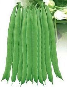 蕓豆能生吃嗎？蕓豆生吃會(huì)怎樣？