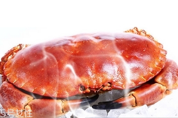 面包蟹肉多嗎？面包蟹幾月份最肥