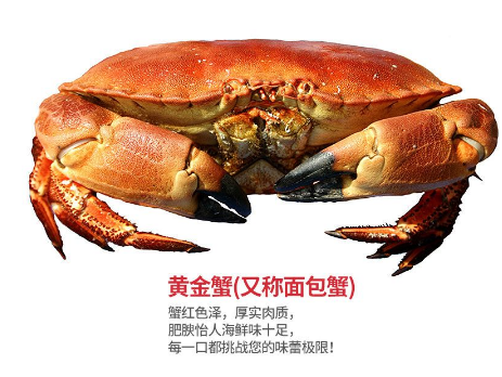 面包蟹肉多嗎？面包蟹幾月份最肥