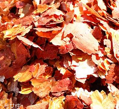 花生衣是什么？花生衣可以吃嗎？