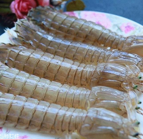 皮皮蝦能長(zhǎng)多大？皮皮蝦最大有多大？