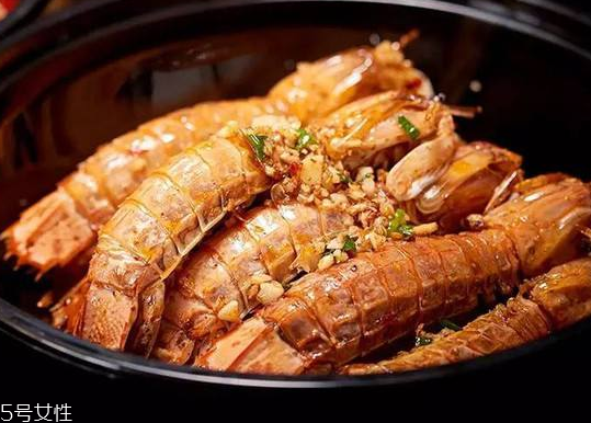 皮皮蝦能長(zhǎng)多大？皮皮蝦最大有多大？