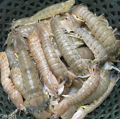 皮皮蝦能和櫻桃一起吃嗎？皮皮蝦和櫻桃可以同吃嗎？