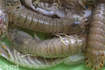 皮皮蝦皮能不能吃？皮皮蝦可以連皮吃嗎？