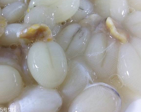 墨魚蛋的做法 墨魚蛋怎么做？