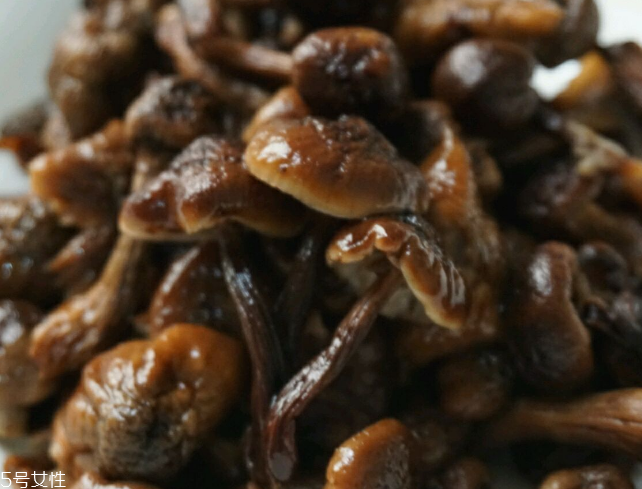 榛蘑能和雞一起吃嗎？榛蘑和雞一起吃的好處