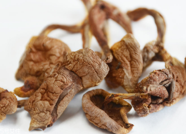 榛蘑和蘿卜相克嗎？榛蘑能不能和蘿卜一起吃？