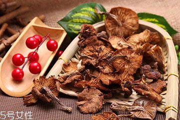 榛蘑的好處 榛蘑對人有什么益處？