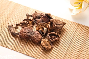 榛蘑是蘑菇嗎？榛蘑是什么蘑菇？
