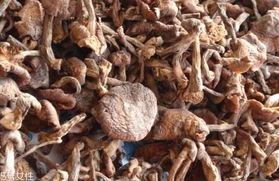 榛蘑和木耳的區(qū)別 榛蘑和木耳能一起吃嗎？