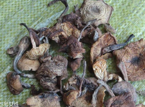 榛蘑能保存多久？干榛蘑怎么保存最好？