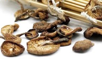 榛蘑可以煲鴨肉嗎？榛蘑可以煲鴨肉