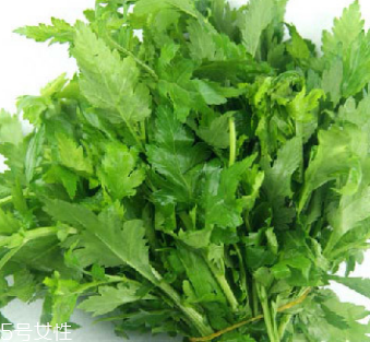 菊花腦是苦的嗎？菊花腦苦不苦？