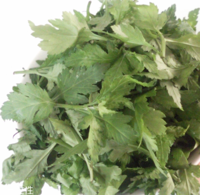 菊花腦怎么挑選？菊花腦選購技法