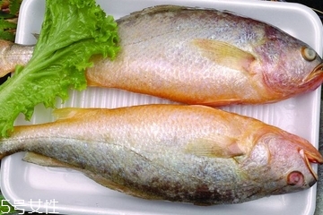 黃花魚是發(fā)物嗎？黃花魚是涼性的嗎？
