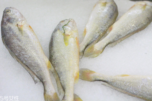 黃花魚(yú)清蒸多長(zhǎng)時(shí)間？黃花魚(yú)清蒸的做法
