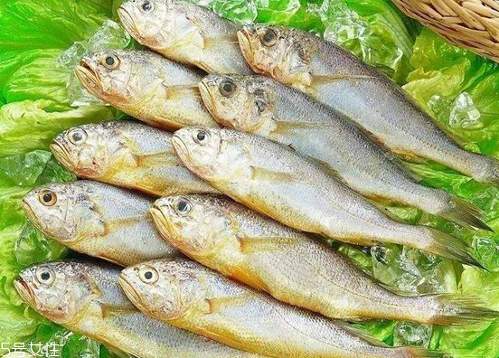 黃花魚去鱗嗎？黃花魚去內臟嗎？