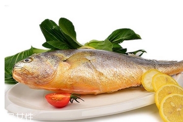黃花魚為什么都是死的？死黃花魚可以吃嗎？