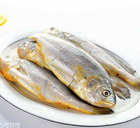 黃花魚為什么都是死的？死黃花魚可以吃嗎？