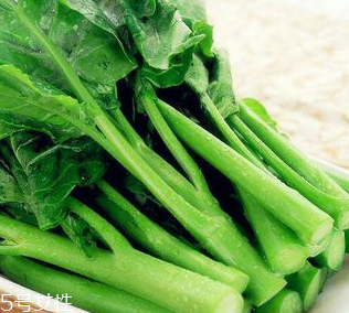 芥蘭是芥菜嗎？芥蘭和芥菜的區(qū)別